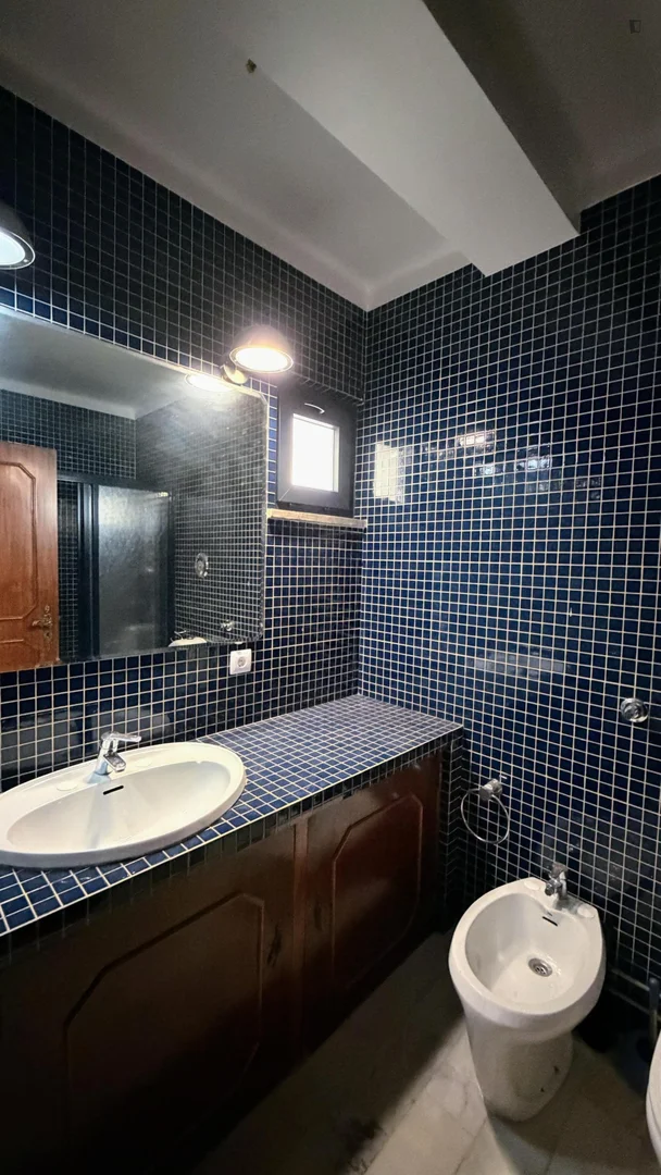 Room for rent in student apartment in , fully furnished