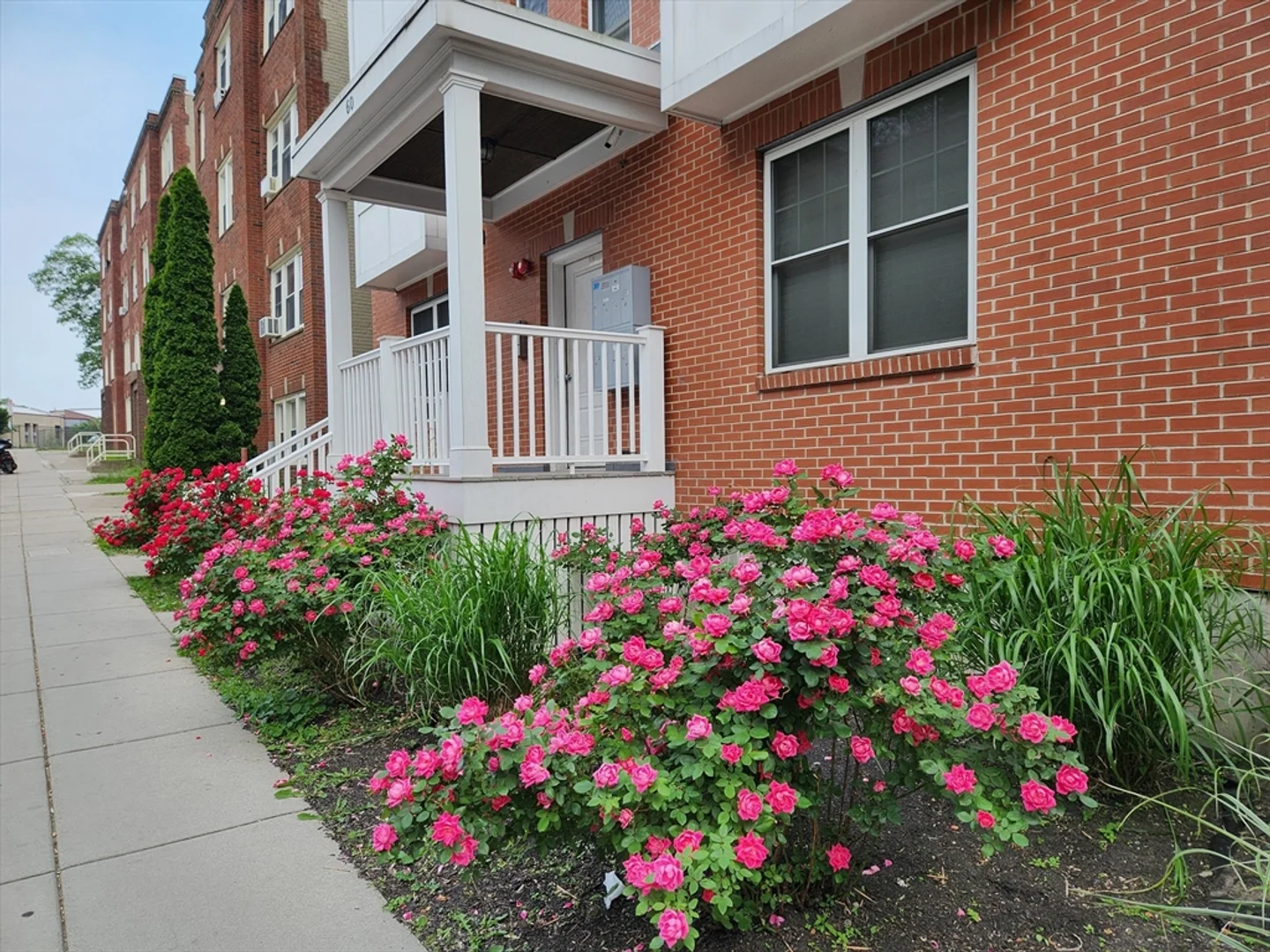 60, Holworthy, Unit 7, Roxbury, Boston, MA, 02121