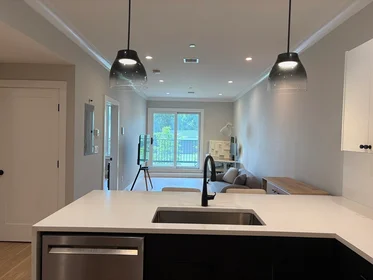 Appartamento intero in residence in 109, Prospect St., Unit 102, Wellington, Somerville, MA, 02143, immagine 4 di 21