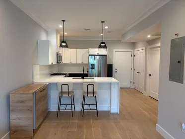 Appartamento intero in residence in 109, Prospect St., Unit 102, Wellington, Somerville, MA, 02143, immagine 5 di 21