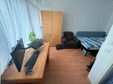 Privatzimmer in der Einsteinstraat, bild 6 von 10