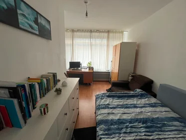 Privatzimmer in der Einsteinstraat, bild 8 von 10