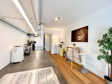 Privatzimmer in der Mathunistraße, Laim, bild 9 von 10