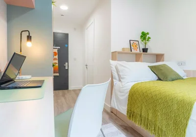 Prywatny pokój w rezydencji 10 Traffic St, Nottingham NG2 1NE, United Kingdom, obraz 4 29