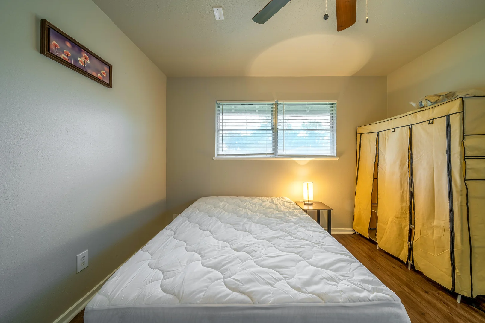 Street, TX, Houston, United States, 77033