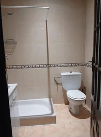Privatzimmer in der Avenida de la Merced, bild 4 von 44