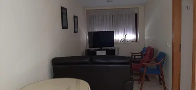 Özel oda konumu Avenida de la Merced, 5 49 görüntüsü
