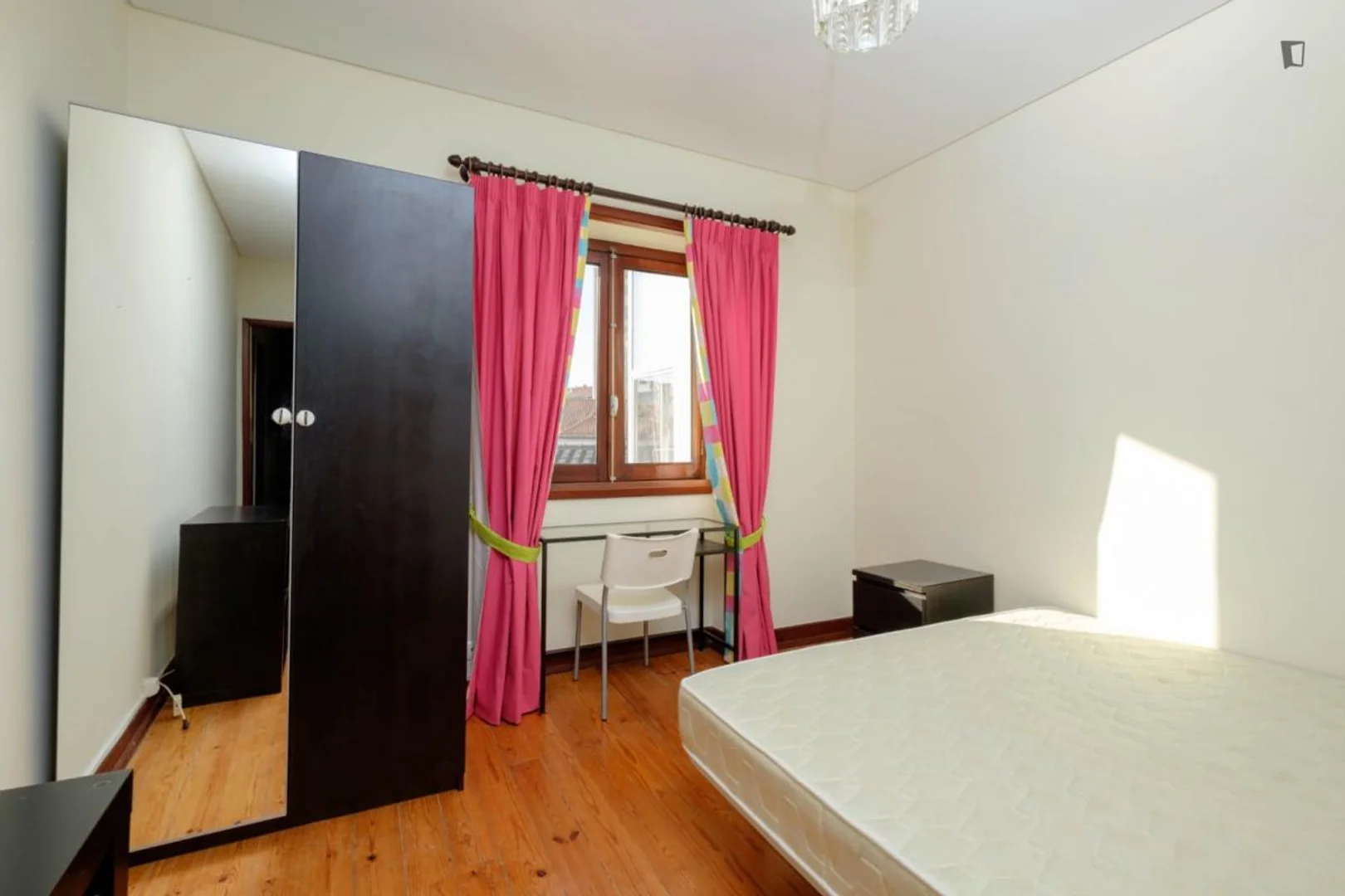 Affordable room for students with ample lighting in