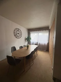 Privatzimmer in der Le mans, 72100, bild 2 von 11