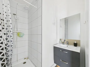Habitación privada en Noisy-le-grand, 93160, imagen 15 de 17