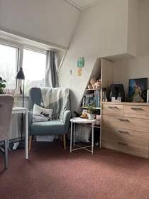 Özel oda konumu Beethovenstraat, 5 10 görüntüsü