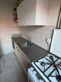 Chambre privée à Beethovenstraat, image 8 de 10
