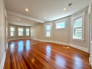 Logement entier en résidence à 8, Fox St., Unit 1, Dorchester, Boston, MA, 02122, image 11 de 17