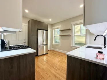 Logement entier en résidence à 8, Fox St., Unit 1, Dorchester, Boston, MA, 02122, image 14 de 17