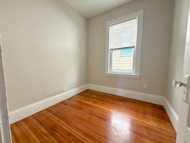 Logement entier en résidence à 8, Fox St., Unit 1, Dorchester, Boston, MA, 02122, image 7 de 17