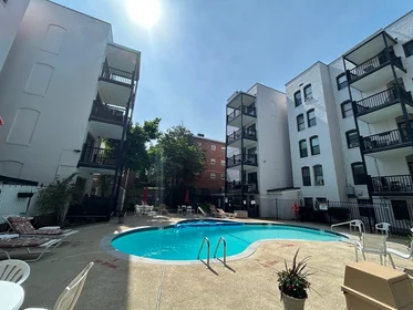 Logement entier en résidence à 4, Commonwealth Ct., Unit 17, Brighton, Boston, MA, 02135, image 14 de 15