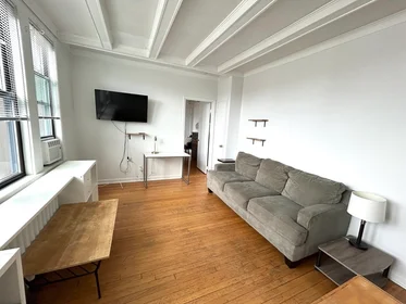 Logement entier en résidence à 4, Commonwealth Ct., Unit 17, Brighton, Boston, MA, 02135, image 7 de 15
