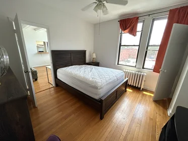 Logement entier en résidence à 4, Commonwealth Ct., Unit 17, Brighton, Boston, MA, 02135, image 8 de 15