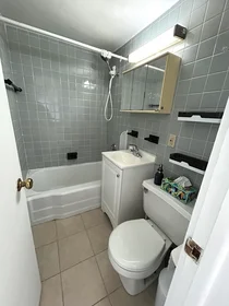 Logement entier en résidence à 4, Commonwealth Ct., Unit 17, Brighton, Boston, MA, 02135, image 10 de 15