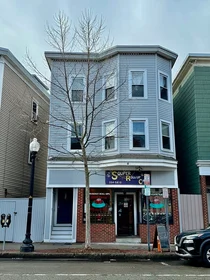 整套公寓 在住宅内 在 724, Cambridge St., Unit 2, Wellington, Cambridge, MA, 02141, 21的图像13