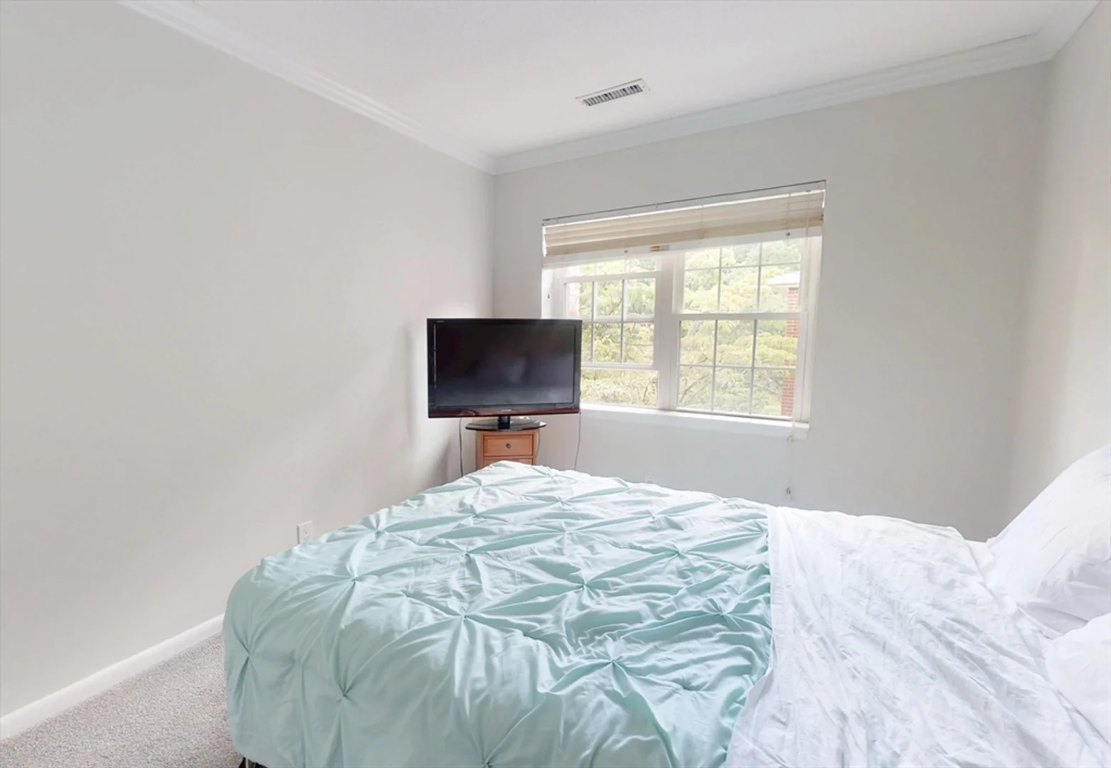 133, Lake Shore Rd., Unit 4, Brighton, Boston, MA, 02135
