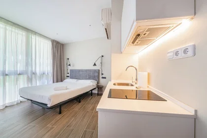 Apartamento inteiro em Carrer dels Tiradors 1, imagem 4 de 15