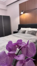 Apartamento inteiro em Calea Victoriei 214, imagem 1 de 10