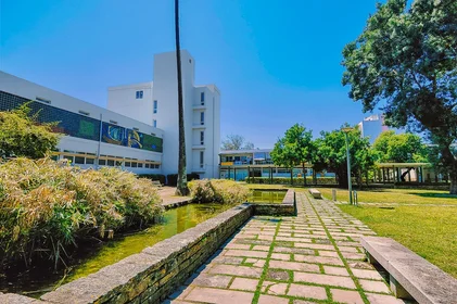 Całe miejsce Rua Pina Manique 8, obraz 27 29