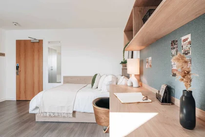 Chambre privée en résidence à Auchinyell Rd, Aberdeen AB10 7FU, United Kingdom, image 18 de 37