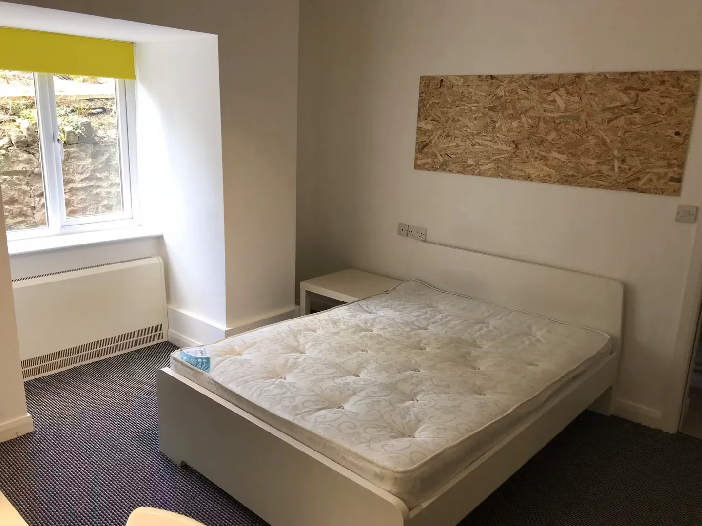 'da öğrenciler için yeterli aydınlatmaya sahip uygun fiyatlı oda