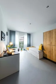 Stanza privata in Friedrich-Ebert-Straße 71, 45127 Essen, Germany, immagine 3 di 14