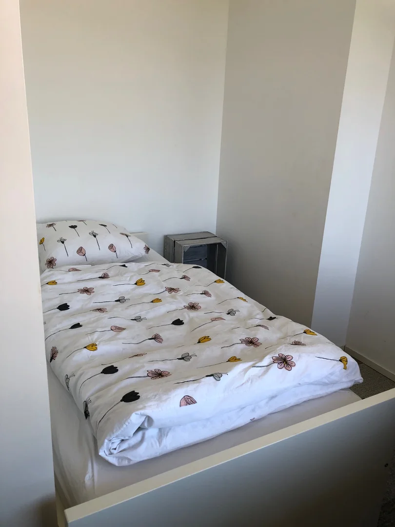 Comfortable and spacious student room in 