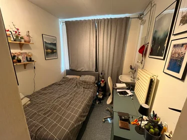 Stanza privata in Hugo de Grootstraat, immagine 5 di 5