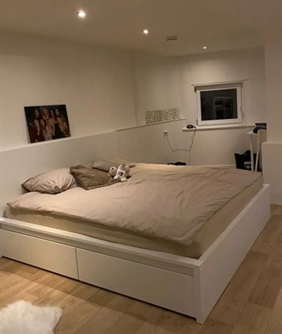 Quarto acolhedor para estudantes disponível em 