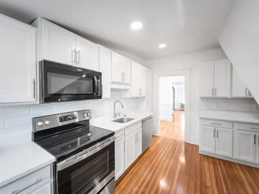 Alojamiento entero en residencia en 100, Chestnut Ave., Unit 3, Jamaica Plain, Boston, MA, 02130, imagen 12 de 23