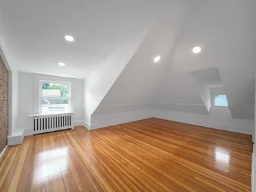Alojamiento entero en residencia en 100, Chestnut Ave., Unit 3, Jamaica Plain, Boston, MA, 02130, imagen 14 de 23