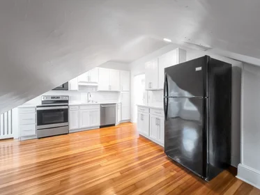 Alojamiento entero en residencia en 100, Chestnut Ave., Unit 3, Jamaica Plain, Boston, MA, 02130, imagen 4 de 23