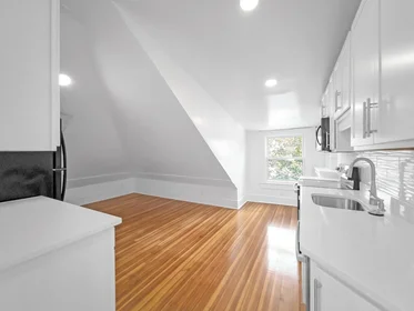 Alojamiento entero en residencia en 100, Chestnut Ave., Unit 3, Jamaica Plain, Boston, MA, 02130, imagen 8 de 23