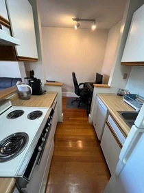 Alojamiento entero en residencia en 15, Keswick St., Unit 6, Fenway, Boston, MA, 02115, imagen 12 de 15