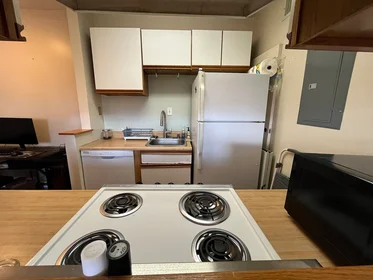 Alojamiento entero en residencia en 15, Keswick St., Unit 6, Fenway, Boston, MA, 02115, imagen 13 de 15