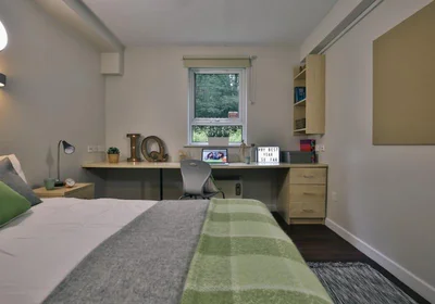 Estudio en residencia en 16 Tumbling Hill St, Bradford BD7 1DB, United Kingdom               , imagen 20 de 49
