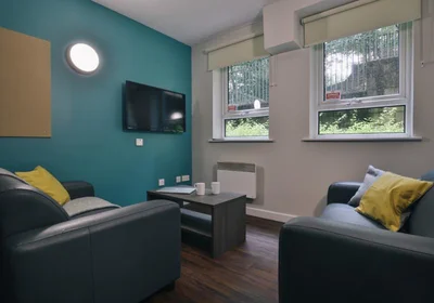 Estudio en residencia en 16 Tumbling Hill St, Bradford BD7 1DB, United Kingdom               , imagen 33 de 49