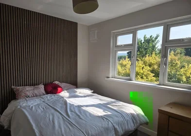 Chambre privée à Springfield Avenue, image 6 de 11
