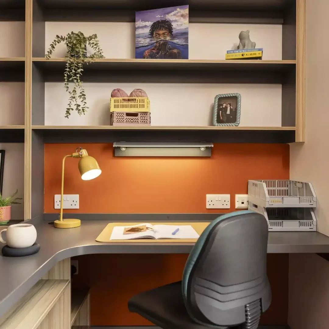 Student-friendly room in with modern amenities
