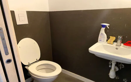 Quarto privado em Via Di Carcaricola 131, imagem 14 de 45