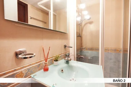 Stanza privata in Calle Marqués de Nervion, immagine 17 di 23