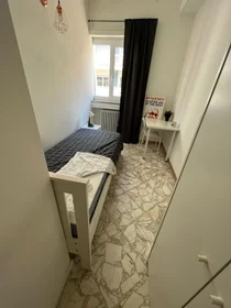 Chambre privée à Via Gian Giuseppe Carulli 5-a, image 2 de 11