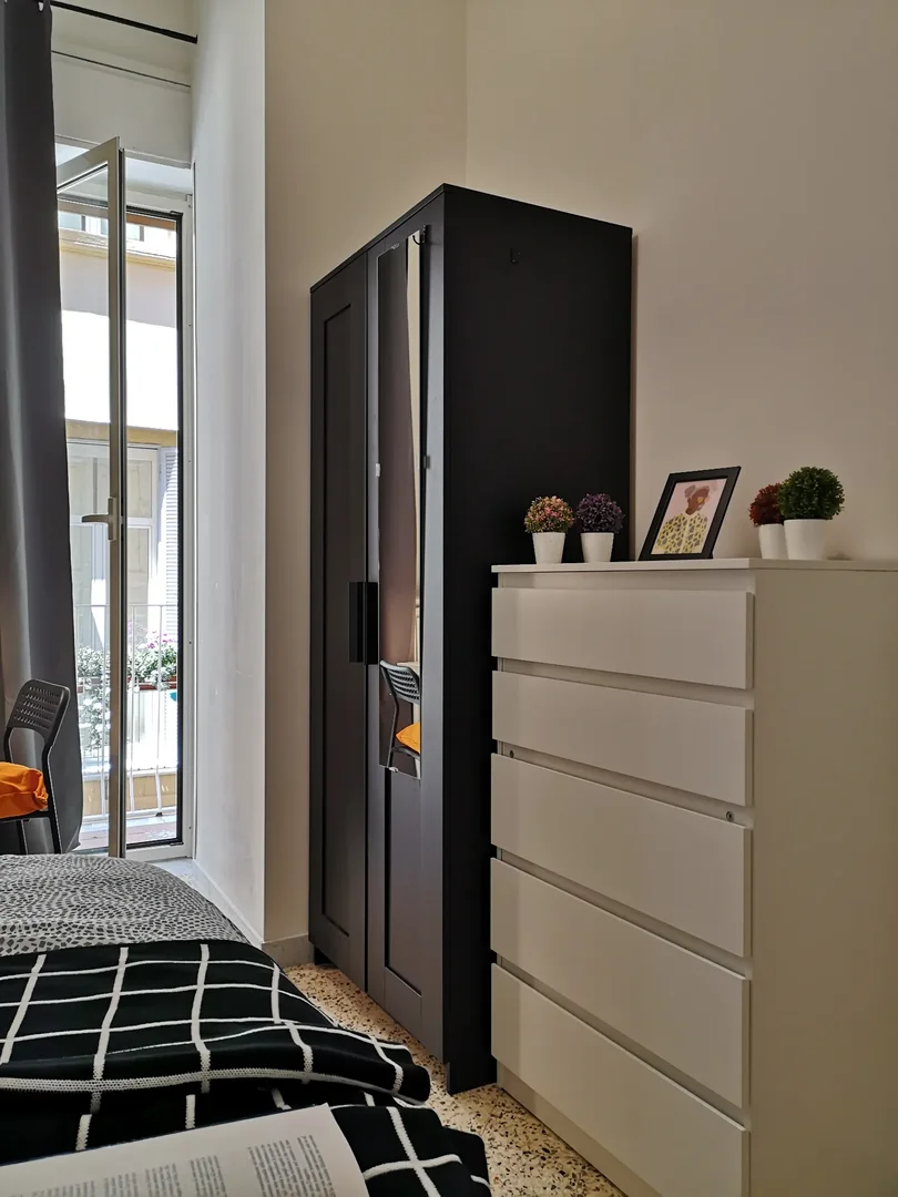 Affordable room for students with ample lighting in 