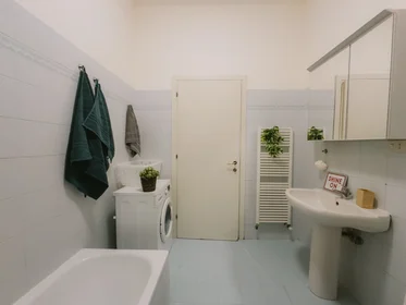 Habitación privada en Via Nicolò Pisano 24, imagen 16 de 16