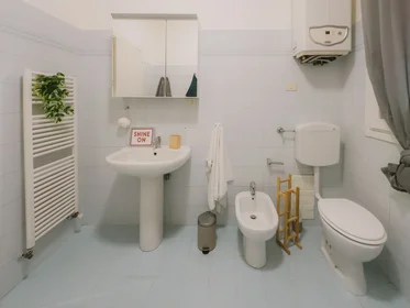 Habitación privada en Via Nicolò Pisano 24, imagen 14 de 16